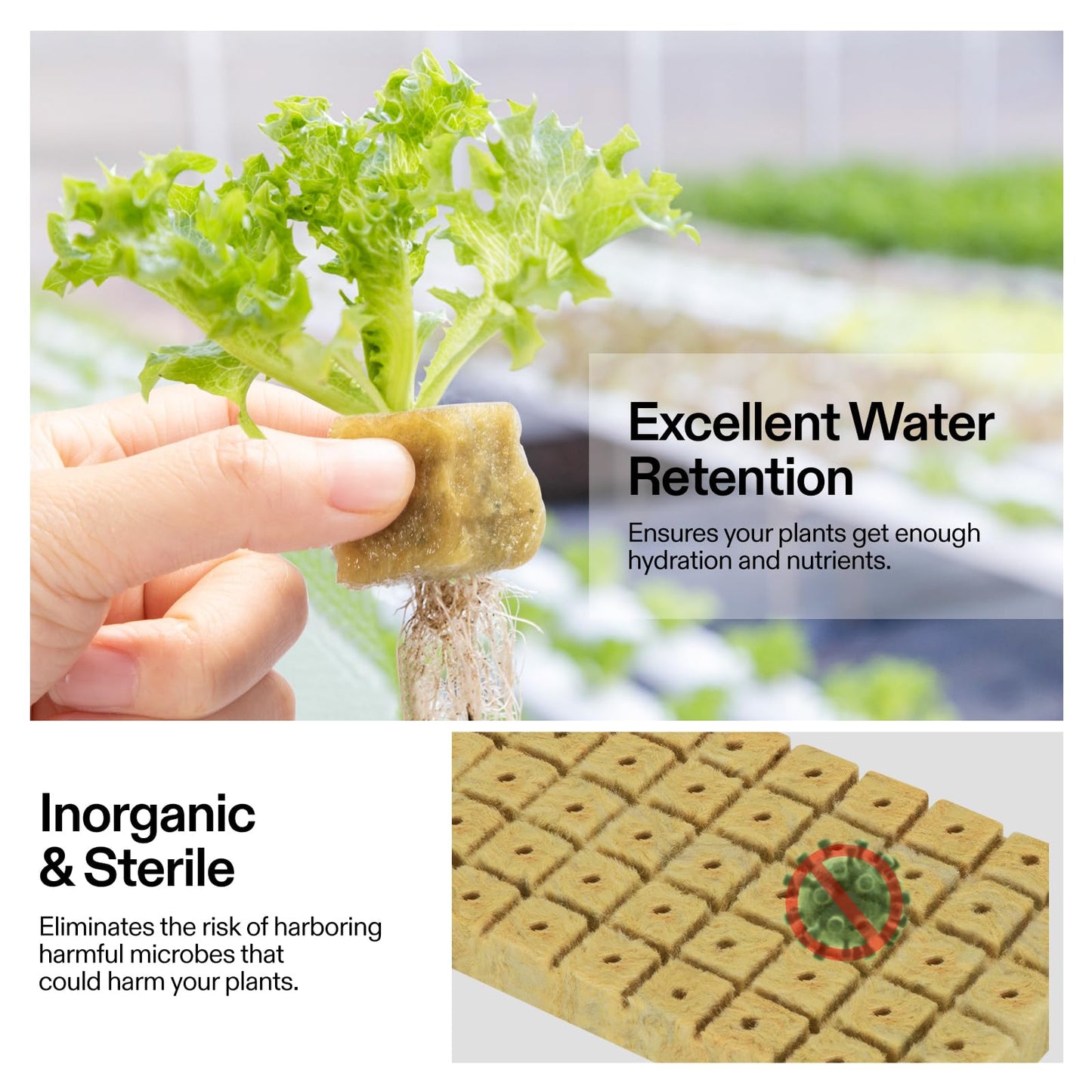 VIVOSUN 1" Rockwool Cubes, 200 Plugs Stonewool Starter Grow Cubes for Cuttings, Cloning, Plant Propagation, Seed Starting, Hydroponic Grow Media for Vigorous Plant Growth, 4 Sheets of 200 Plugs